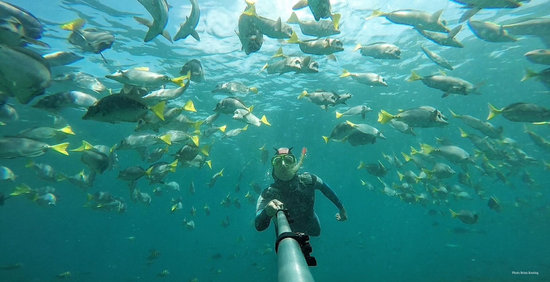 6) Galapagos snorkeling 2016